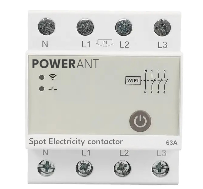 Electricity Price Switch 63A